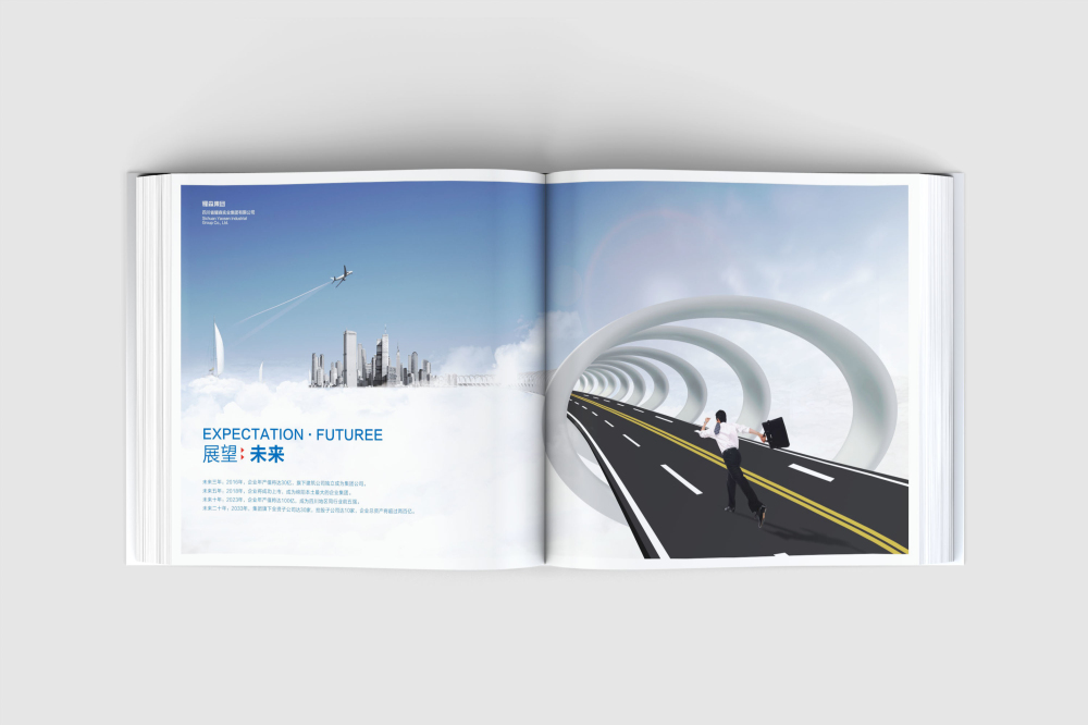 王益区画册设计